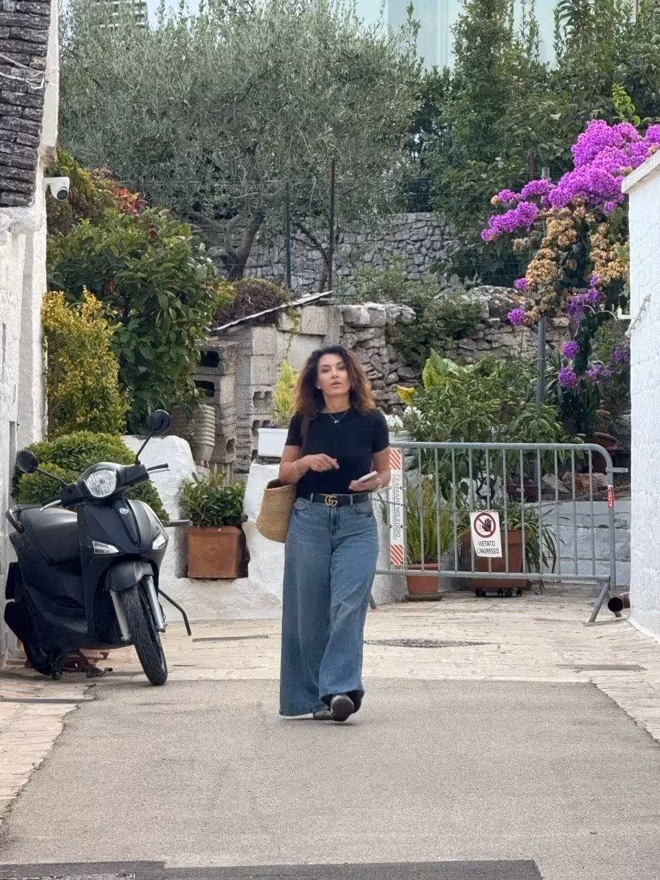 Visitar Perfil de la Dama