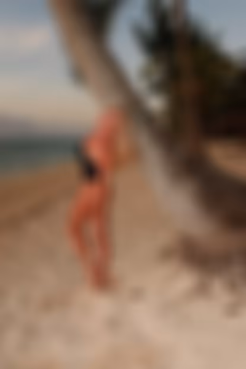 Ver Presentaci&oacute;n