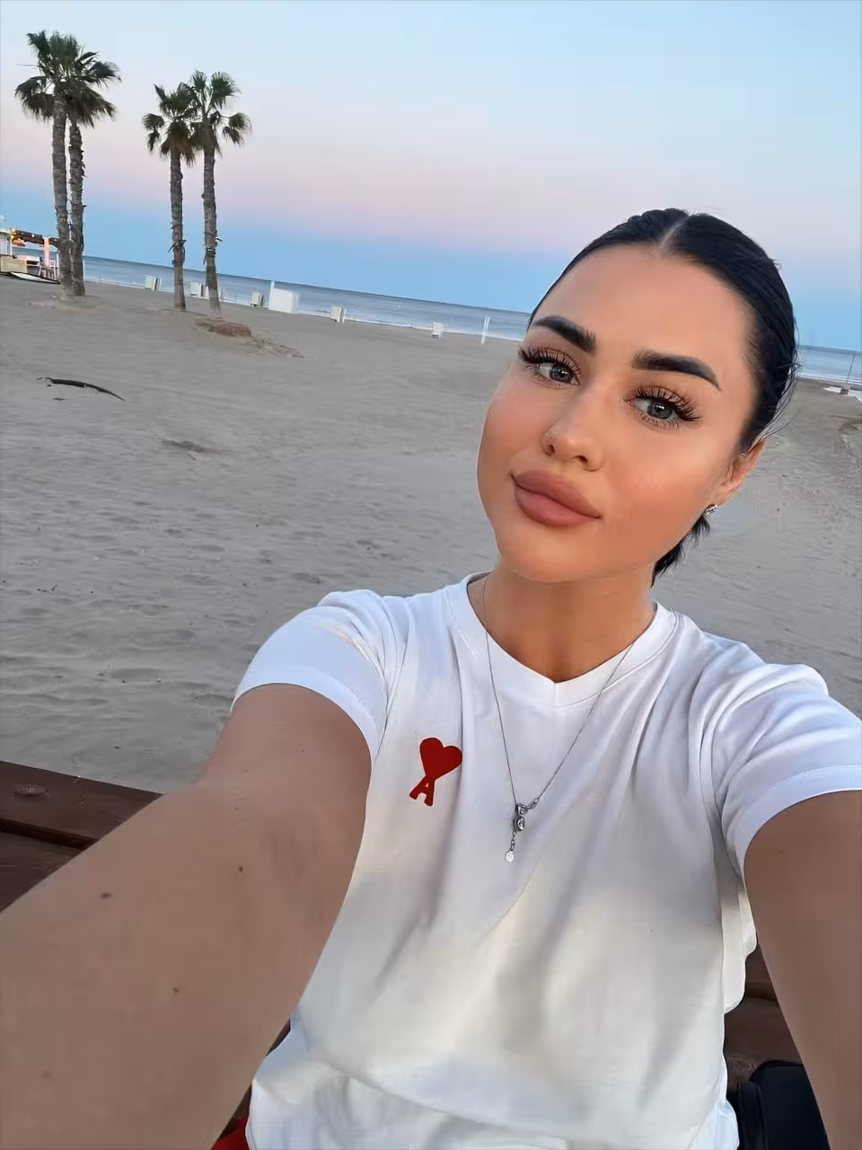 Perfil Detallado