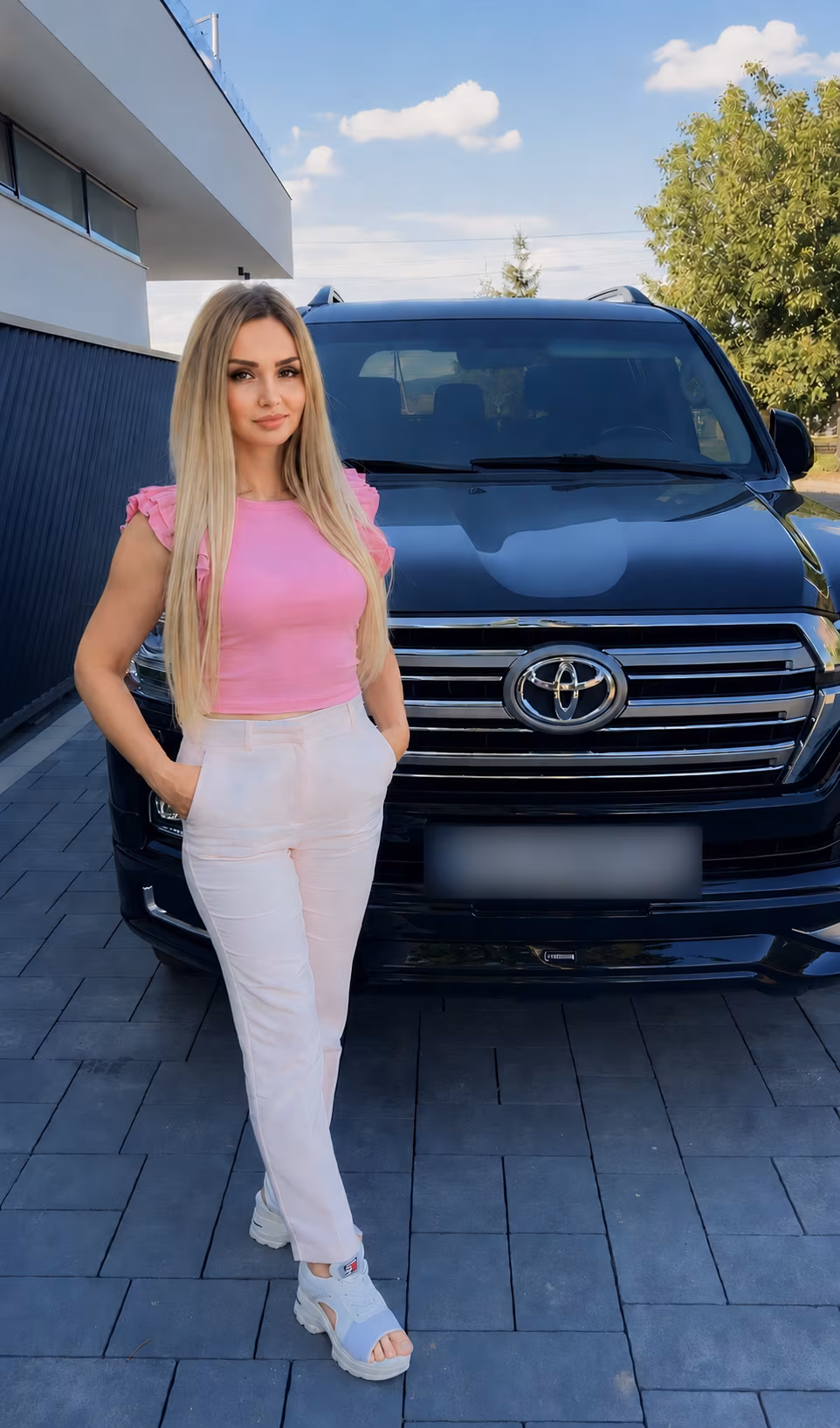 Perfil Detallado