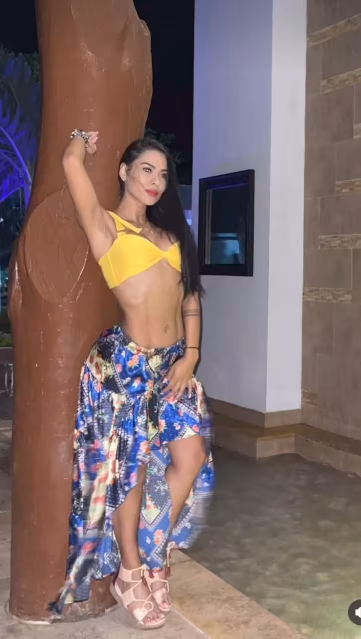 Perfil Detallado
