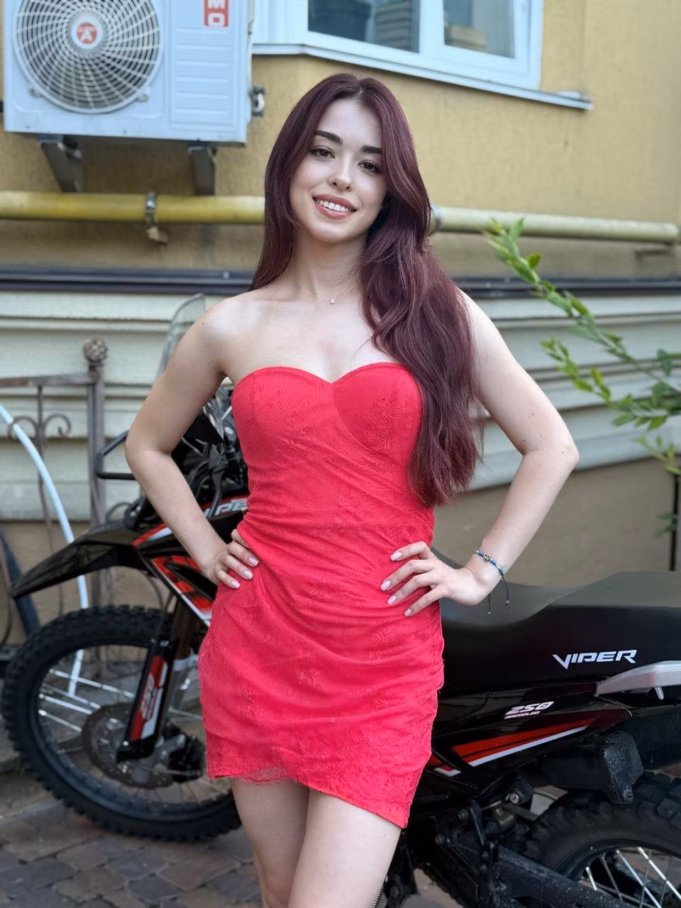 Visitar Perfil de la Dama