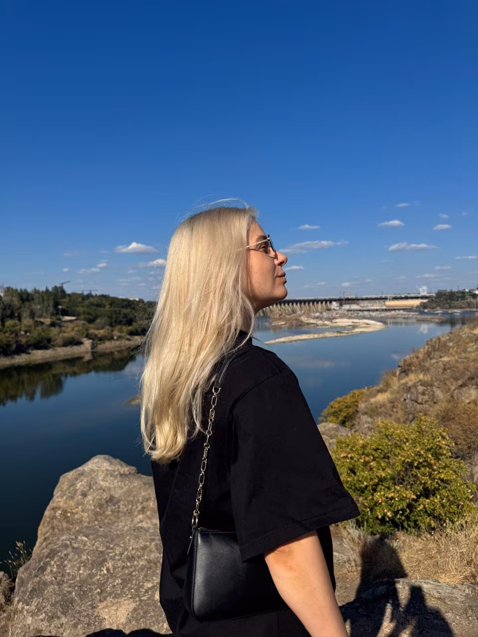 Revisar su Perfil
