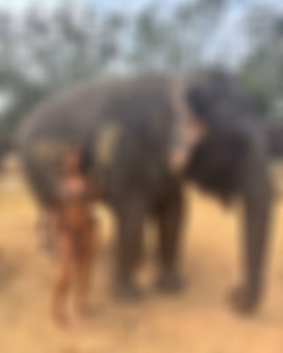 Ver Todos los Detalles