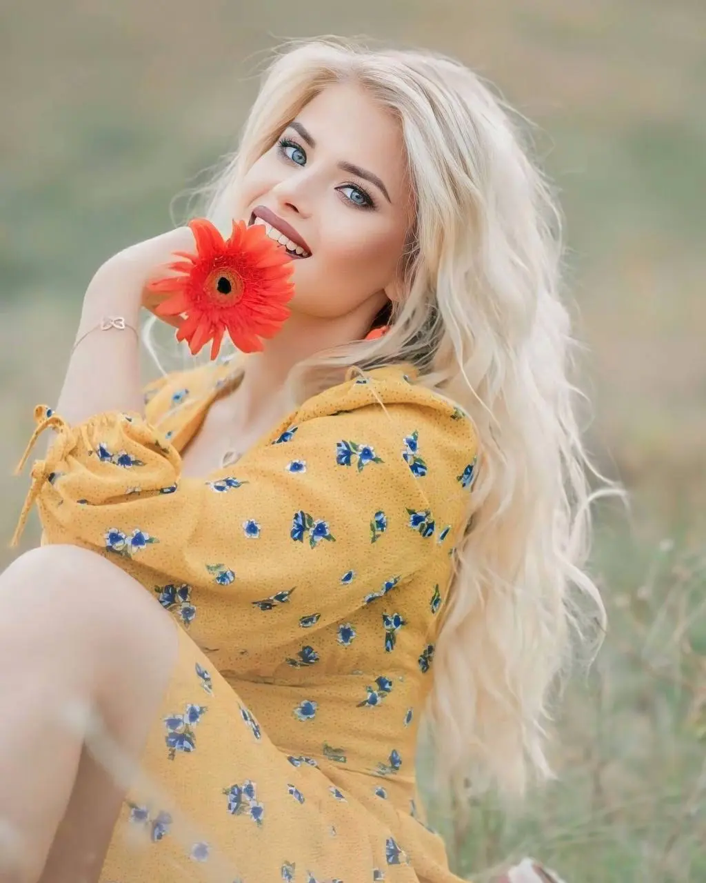 Visitar Perfil de la Dama